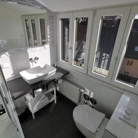 Flussufer - Altstadt * Neckargemünd