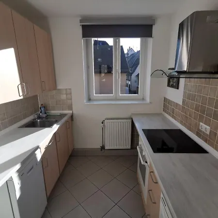 Appartement Flussufer - Altstadt Neckargemünd